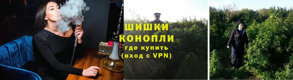 не бодяженный Белокуриха
