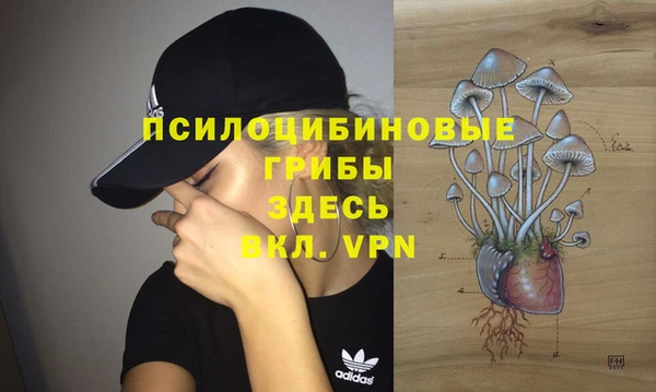 не бодяженный Белокуриха
