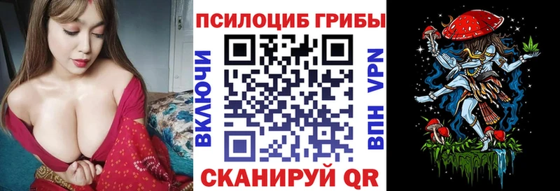 Купить закладки  Артём  Галлюциногенные грибы GOLDEN TEACHER 